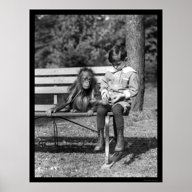 Poster Orangutan e Boy no Parque 1920 (Frente)