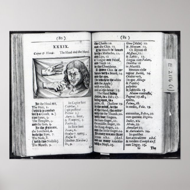 Poster "Orbis Sensualium Pictus" (Frente)