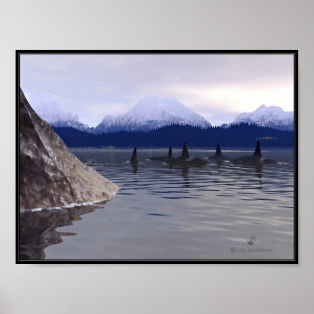 Poster Orca de Água Escura (Frente)