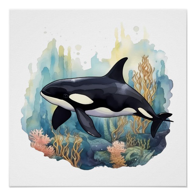Póster Orca E Coral (Frente)