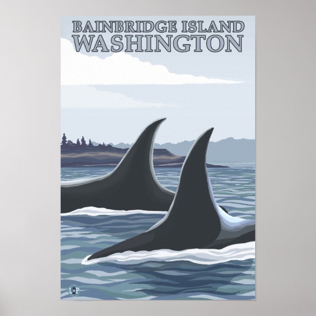 Poster Orca Whales nº 1 - Ilha de Bainbridge, Washington (Frente)