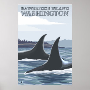 Póster Orca Whales nº 1 - Ilha de Bainbridge, Washington