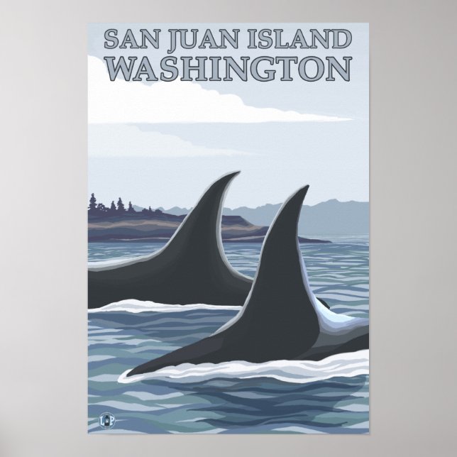Póster Orca Whales nº 1 - San Juan Island, Washington (Frente)