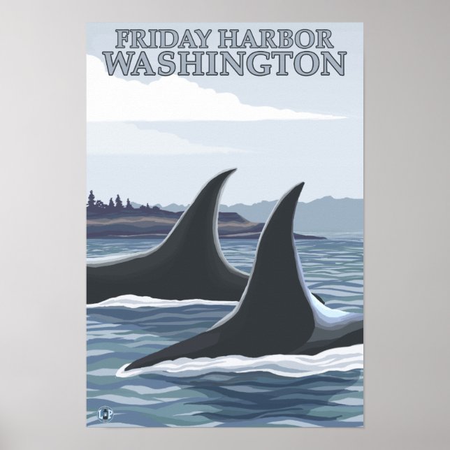Poster Orca Whales nº 1 - Sexta-feira Harbor, Washington (Frente)