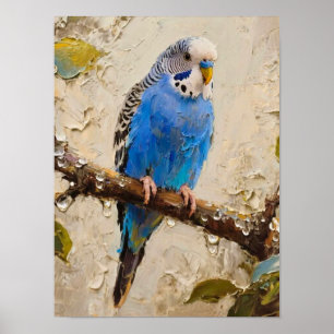 Poster Orçamento Azul