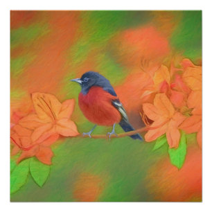 Póster Orchard Oriole Songbird Pintura Original