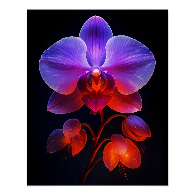 Póster Orchideen Blüte im Strahlendem Licht (Frente)