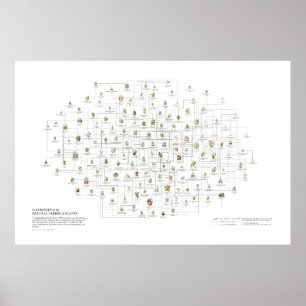 Poster Ordens Naturais das Plantas - Probabilidades