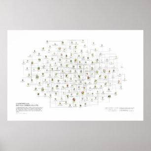 Poster Ordens Naturais de Plantas - Prováveis