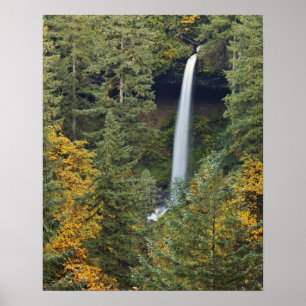 Póster Oregon, Parque Estadual Silver Falls, North Falls