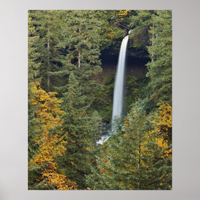 Póster Oregon, Parque Estadual Silver Falls, North Falls (Frente)