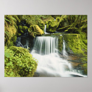 Póster Oregon, Waterfall no Willamette