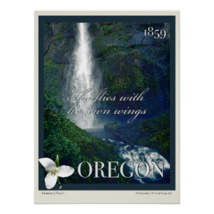 Póster Oregon Waterfall Poster