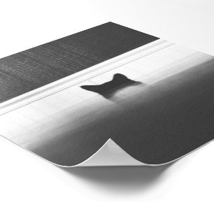 Póster Orelhas de gato