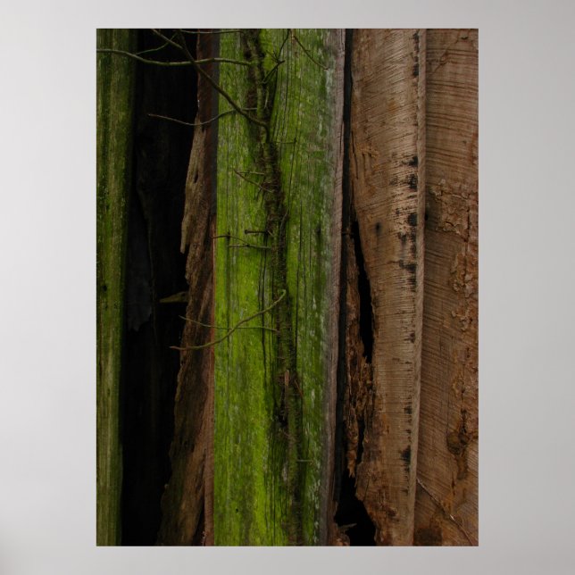 Poster Orgânico (Frente)