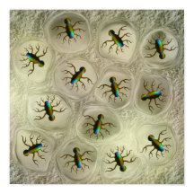 Organismos microscópicos abstratos em matriz celul