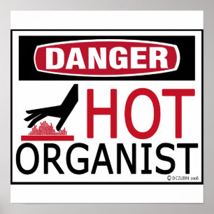 Poster Organista quente