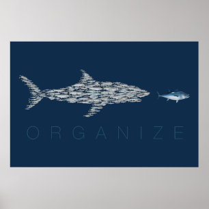 Poster Organize peixes