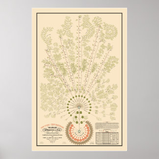 Poster Organograma da New York & Erie Railroad - Claro -