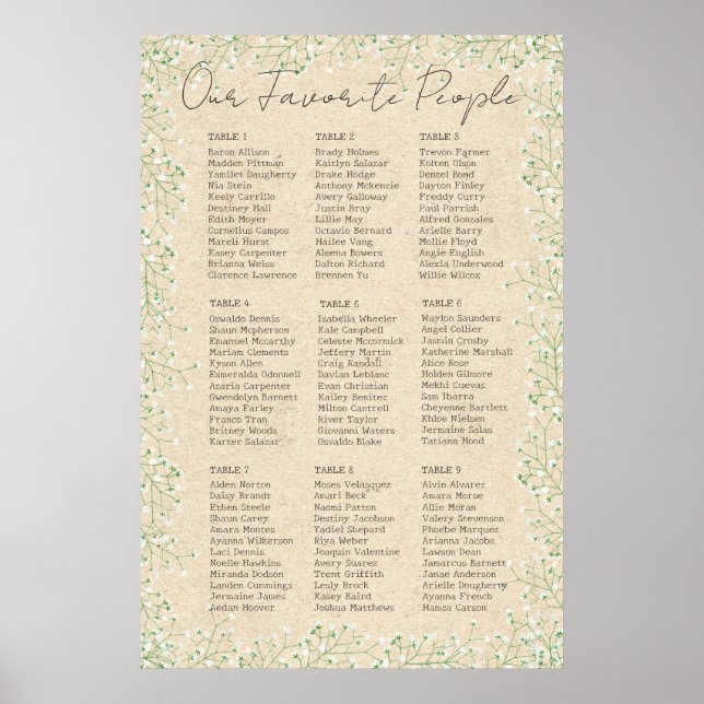Poster Organograma Floral Russo de Gypsophila (Frente)