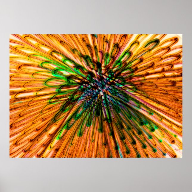 Póster Órgão de girassol (Frente)