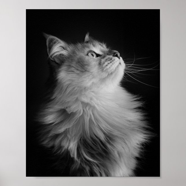 Póster Orgulho (Frente)