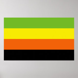 Poster Orgulho Aromântico