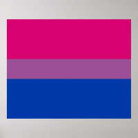 Orgulho Bissexual (Bandeira Bi)