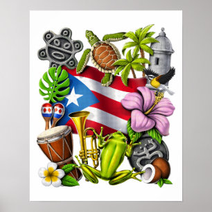 Poster Orgulho Boricua de Porto Rico