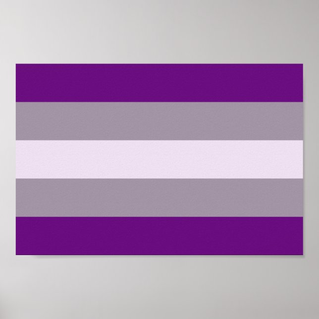 Poster Orgulho Cinzassexual (Frente)