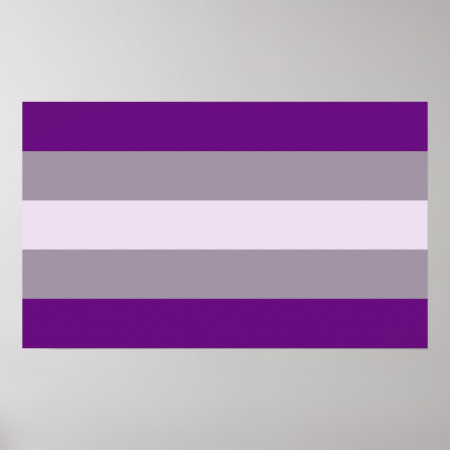 Poster Orgulho Cinzassexual (Frente)