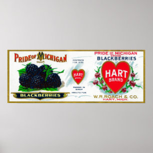 Póster Orgulho de Michigan Blackberry LabelHart, MI