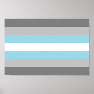 Poster Orgulho Demiboy