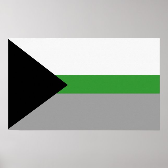 Poster Orgulho Demiromântico (Frente)