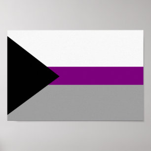 Poster Orgulho Demisexual