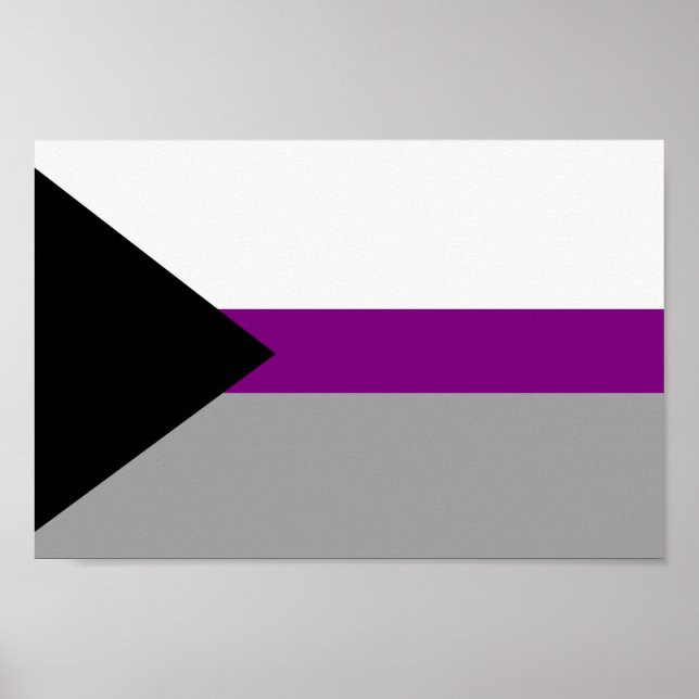 Poster Orgulho Demissexual (Frente)