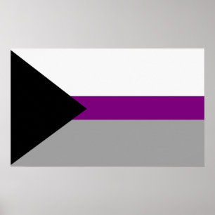 Poster Orgulho Demissexual