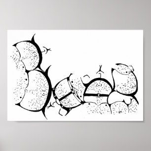 Poster Orgulho do urso!