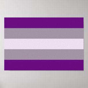 Poster Orgulho Greysexual