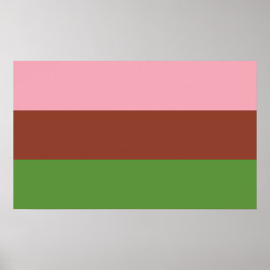 Poster Orgulho Gynosexual
