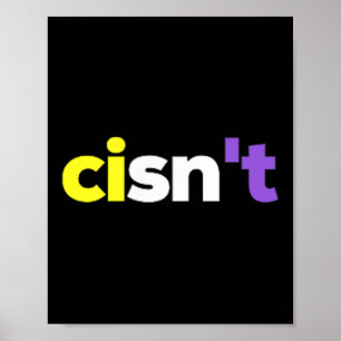 Poster Orgulho Lgbtq Não Binário Cisnt, Enby Presente _ N