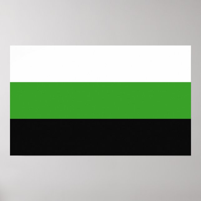 Poster Orgulho Neutrois (Frente)
