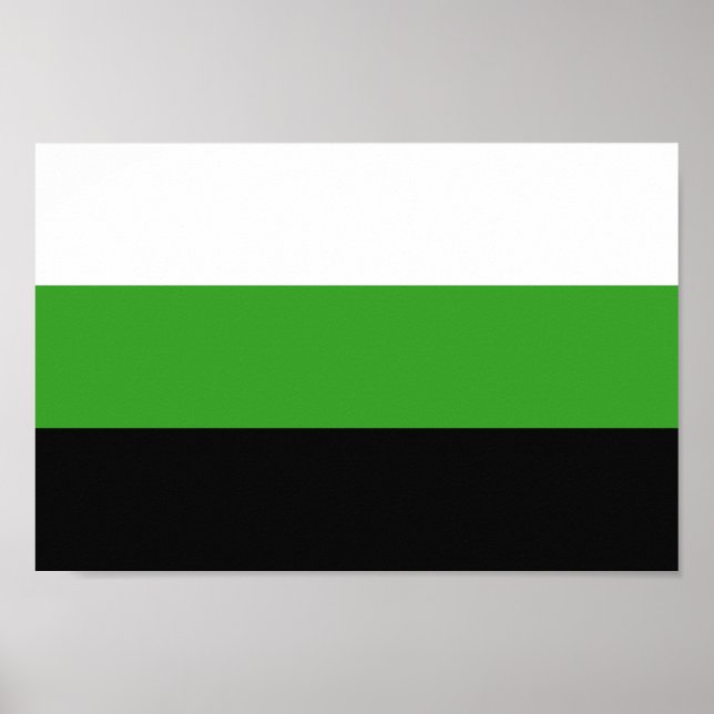 Poster Orgulho Neutrois (Frente)