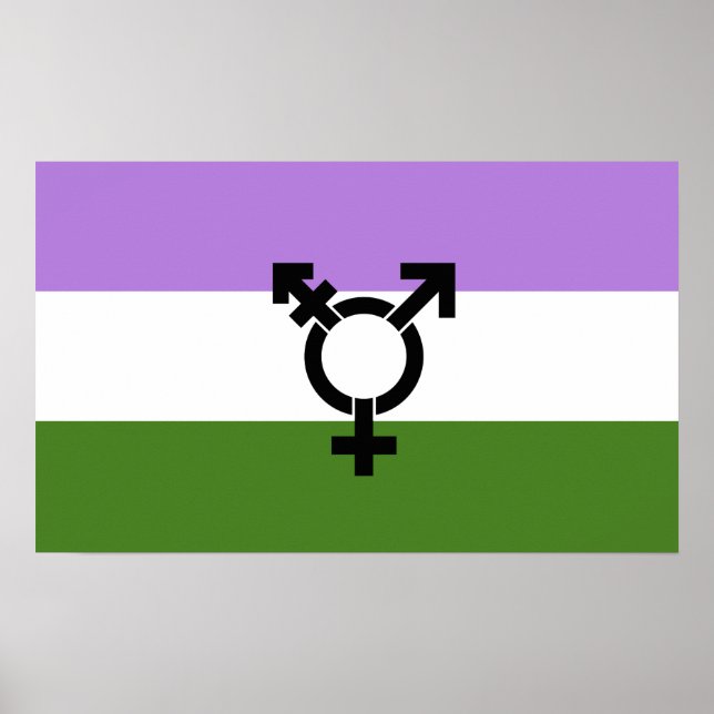 Poster Orgulho Queer - Gênero Queer (Frente)