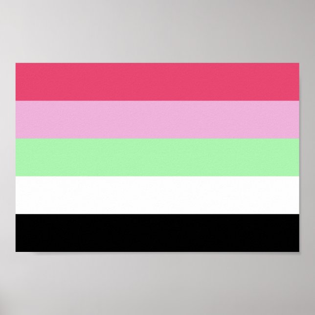 Poster Orgulho Recipromântico (Frente)