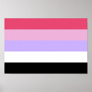 Poster Orgulho Reciprosexual