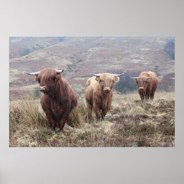 Póster Orgulhoso De Ser Escocês! (Frente)