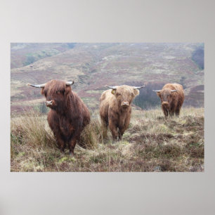 Póster Orgulhoso ser escocês!