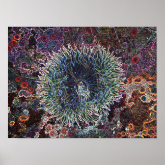 Poster Origens Celulares