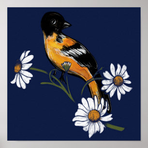 Poster Oriole Bird Daisy Flower Nature Art               